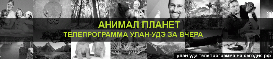 Телепрограмма за вчера канала Анимал Планет, Улан-Удэ